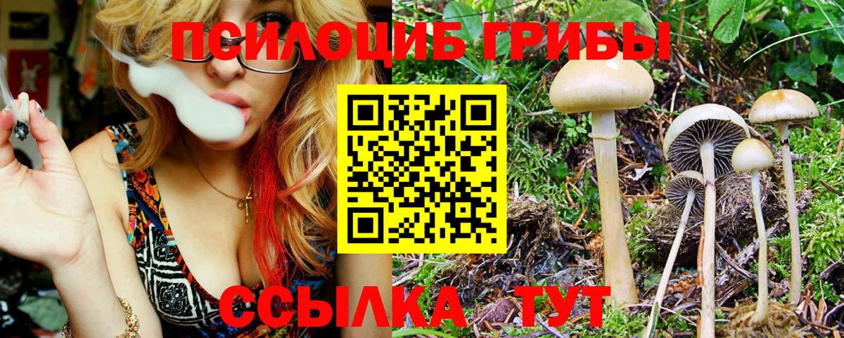 Галлюциногенные грибы Psilocybine cubensis  как найти наркотики  Галлюциногенные грибы MAGIC MUSHROOMS  Магнитогорск  Вход с VPN 